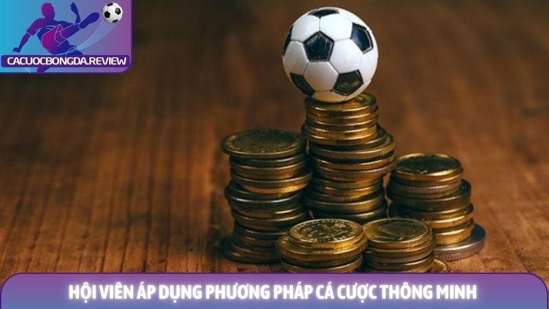 Chiến thuật cá độ bóng đá không bao giờ thua - Cẩm nang toàn diện 2 Hội viên áp dụng phương pháp cá cược thông minh